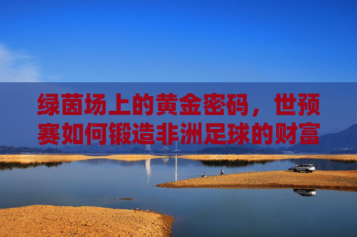 绿茵场上的黄金密码，世预赛如何锻造非洲足球的财富新大陆，世预赛，锻造非洲足球财富新大陆的黄金密码