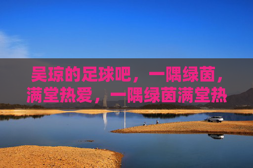吴琼的足球吧，一隅绿茵，满堂热爱，一隅绿茵满堂热爱，吴琼的足球吧