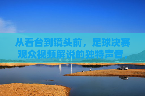 从看台到镜头前,足球决赛观众视频解说的独特声音,足球决赛,看台观众到镜头解说的独特声音