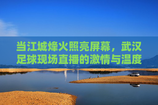 当江城烽火照亮屏幕，武汉足球现场直播的激情与温度，烽火燃屏，江城足球直播的激情温度