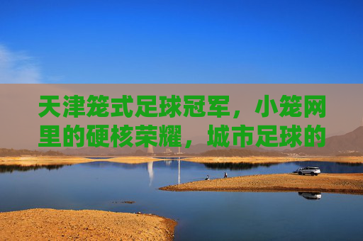 天津笼式足球冠军,小笼网里的硬核荣耀,城市足球的热血心跳,天津笼式足球冠军,小笼网里的硬核荣耀,城市足球的热血心跳