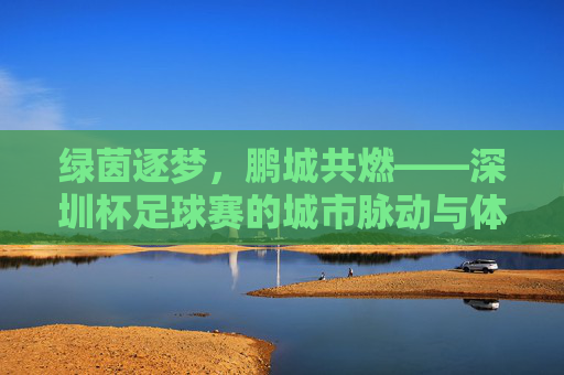 绿茵逐梦,鹏城共燃——深圳杯足球赛的城市脉动与体育精神,深圳杯足球赛,鹏城逐梦,绿茵燃情