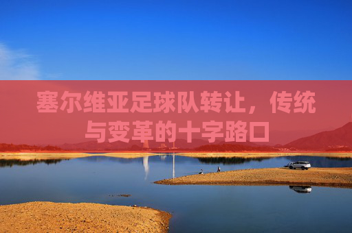 塞尔维亚足球队转让,传统与变革的十字路口