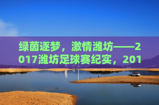 绿茵逐梦，激情潍坊——2017潍坊足球赛纪实，2017潍坊绿茵逐梦足球赛纪实
