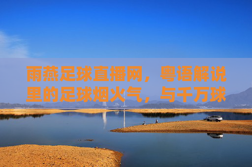 雨燕足球直播网，粤语解说里的足球烟火气，与千万球迷共燃赛场激情，粤语解说的烟火气，雨燕直播共燃千万球迷赛场激情