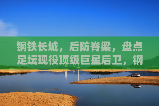 钢铁长城,后防脊梁,盘点足坛现役顶级巨星后卫,钢铁长城,足坛现役顶级巨星后卫盘点