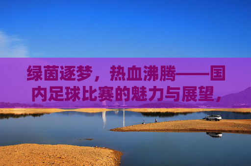 绿茵逐梦,热血沸腾——国内足球比赛的魅力与展望,热血沸腾绿茵路,国内足球比赛的魅力与展望