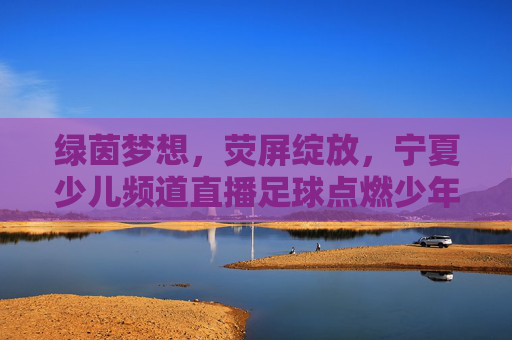 绿茵梦想,荧屏绽放,宁夏少儿频道直播足球点燃少年热情,宁夏少儿频道直播足球,荧屏绽放绿茵梦,点燃少年热情