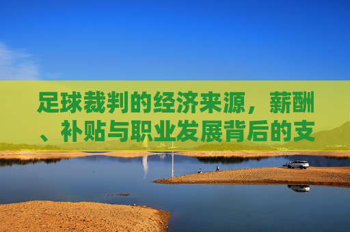 足球裁判的经济来源,薪酬、补贴与职业发展背后的支撑