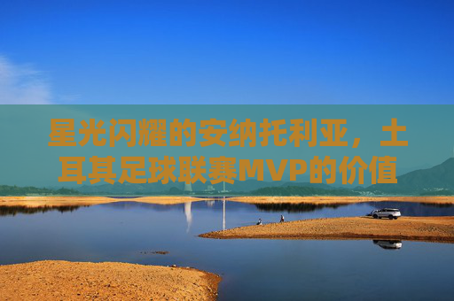 星光闪耀的安纳托利亚,土耳其足球联赛MVP的价值与传奇