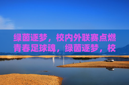 绿茵逐梦，校内外联赛点燃青春足球魂，绿茵逐梦，校内外联赛点燃青春足球魂
