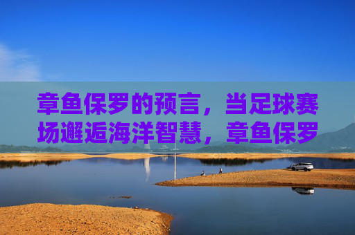 章鱼保罗的预言，当足球赛场邂逅海洋智慧，章鱼保罗，赛场预言邂逅海洋智慧