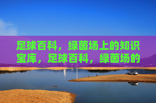 足球百科，绿茵场上的知识宝库，足球百科，绿茵场的知识宝库