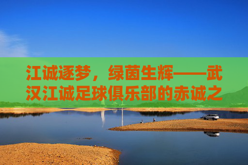 江诚逐梦,绿茵生辉——武汉江诚足球俱乐部的赤诚之路,江诚逐梦,绿茵赤诚