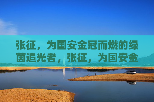 张征,为国安金冠而燃的绿茵追光者,张征,为国安金冠而燃的绿茵追光者