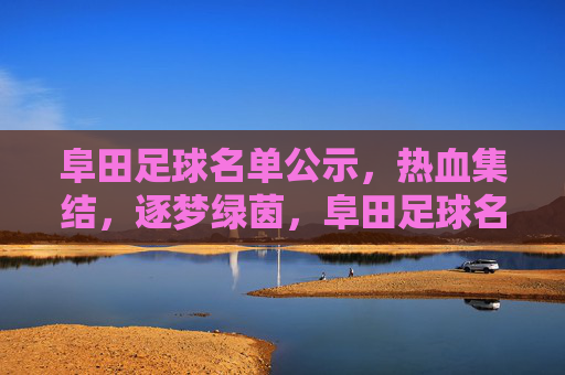 阜田足球名单公示，热血集结，逐梦绿茵，阜田足球名单公示，热血集结，逐梦绿茵