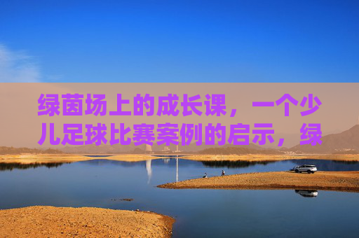 绿茵场上的成长课,一个少儿足球比赛案例的启示,绿茵场成长课,少儿足球比赛案例启示