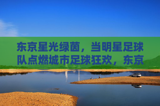 东京星光绿茵，当明星足球队点燃城市足球狂欢，东京星光绿茵，明星足球队点燃城市足球狂欢