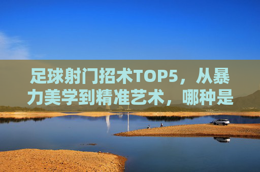 足球射门招术TOP5,从暴力美学到精准艺术,哪种是你的必杀技?足球射门TOP5,暴力美学与精准艺术的必杀技