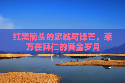 红黑箭头的忠诚与锋芒,莱万在拜仁的黄金岁月