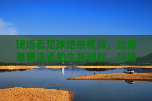 现场看足球绝杀视频,比屏幕更滚烫的生死时刻,现场足球绝杀,滚烫的生死瞬间