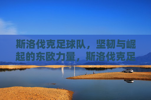 斯洛伐克足球队，坚韧与崛起的东欧力量，斯洛伐克足球队，坚韧与崛起的东欧力量