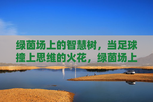 绿茵场上的智慧树,当足球撞上思维的火花,绿茵场上的思维火花