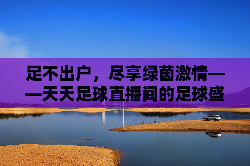 足不出户,尽享绿茵激情——天天足球直播间的足球盛宴,天天足球直播间,足不出户畅享绿茵盛宴