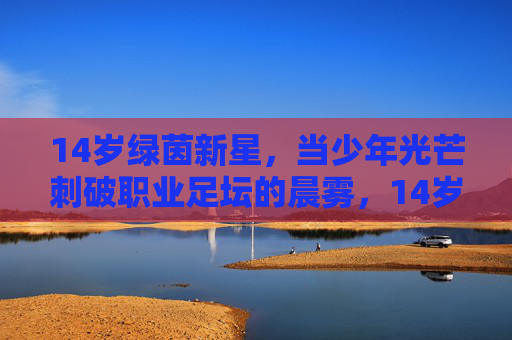 14岁绿茵新星，当少年光芒刺破职业足坛的晨雾，14岁新星光芒刺破职业足坛晨雾
