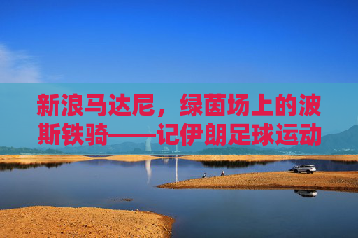 新浪马达尼，绿茵场上的波斯铁骑——记伊朗足球运动员马达尼的逐梦之路，绿茵场上的波斯铁骑，马达尼逐梦记
