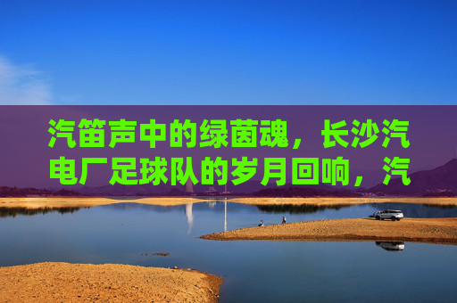 汽笛声中的绿茵魂，长沙汽电厂足球队的岁月回响，汽笛声中的绿茵魂，长沙汽电厂足球队的岁月回响