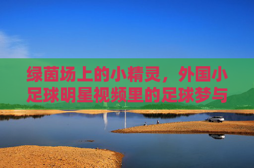绿茵场上的小精灵,外国小足球明星视频里的足球梦与成长,绿茵小精灵的足球梦与成长