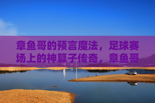 章鱼哥的预言魔法,足球赛场上的神算子传奇,章鱼哥,足球赛场上的神算子传奇