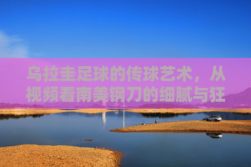 乌拉圭足球的传球艺术,从视频看南美钢刀的细腻与狂野