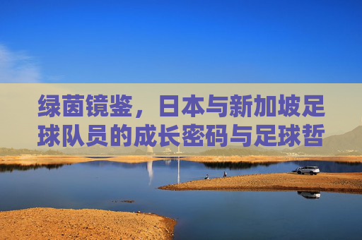 绿茵镜鉴，日本与新加坡足球队员的成长密码与足球哲学，绿茵镜鉴，日本与新加坡足球队员的成长密码与足球哲学