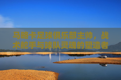 马略卡足球俱乐部主帅,战术舵手与球队灵魂的塑造者,马略卡主帅,战术舵手与球队灵魂塑造者