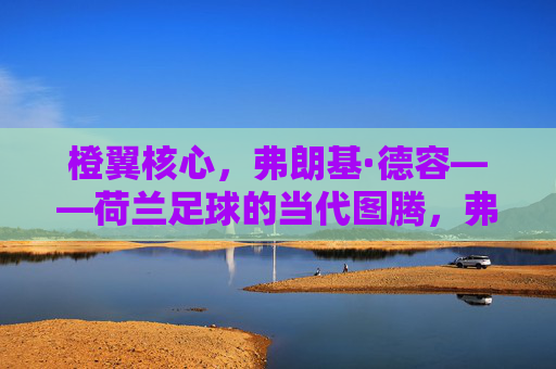 橙翼核心,弗朗基·德容——荷兰足球的当代图腾,弗朗基·德容,荷兰足球的橙翼核心图腾