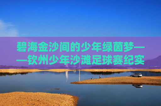碧海金沙间的少年绿茵梦——钦州少年沙滩足球赛纪实,碧海金沙少年绿茵梦,钦州沙滩足球赛纪实