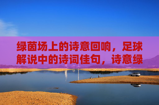绿茵场上的诗意回响,足球解说中的诗词佳句,诗意绿茵,足球解说的诗词回响