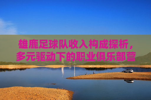 雄鹿足球队收入构成探析，多元驱动下的职业俱乐部营收模式，雄鹿足球队多元驱动营收模式与收入构成探析