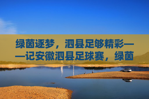 绿茵逐梦，泗县足够精彩——记安徽泗县足球赛，绿茵逐梦，泗县精彩