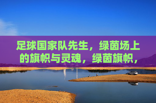 足球国家队先生,绿茵场上的旗帜与灵魂,绿茵旗帜,国家队之魂