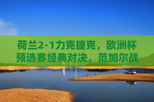 荷兰2-1力克捷克,欧洲杯预选赛经典对决,范加尔战术制胜,荷兰2-1力克捷克,范加尔战术制胜欧洲杯预选赛经典对决