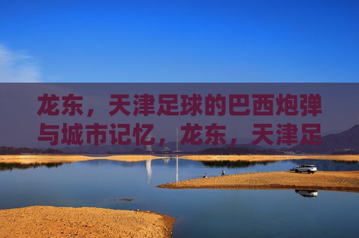 龙东,天津足球的巴西炮弹与城市记忆,龙东,天津足球的巴西炮弹与城市记忆