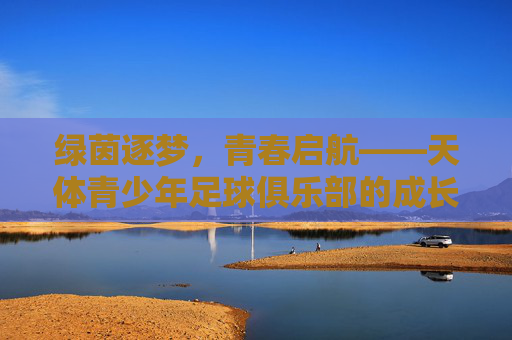 绿茵逐梦,青春启航——天体青少年足球俱乐部的成长之路,绿茵逐梦,青春启航,天体青少年足球俱乐部成长记