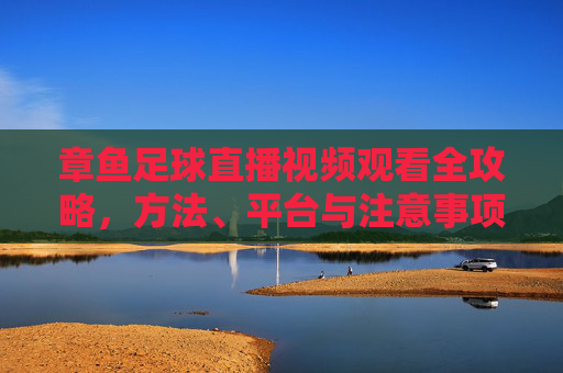 章鱼足球直播视频观看全攻略，方法、平台与注意事项，章鱼足球直播视频观看全攻略，方法、平台与注意事项