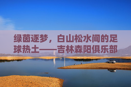 绿茵逐梦,白山松水间的足球热土——吉林森阳俱乐部足球发展纪实,白山松水绿茵梦,吉林森阳俱乐部足球发展纪实