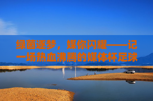 绿茵逐梦,媒你闪耀——记一场热血沸腾的媒体杯足球赛,绿茵逐梦,媒你闪耀