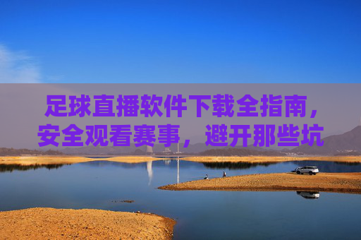 足球直播软件下载全指南，安全观看赛事，避开那些坑，足球直播软件下载全指南，安全观看赛事，避开那些坑