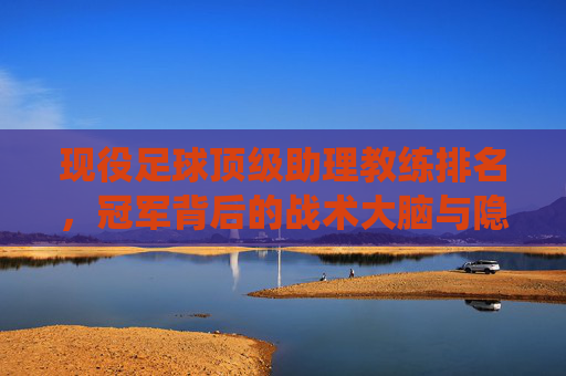 现役足球顶级助理教练排名,冠军背后的战术大脑与隐形推手,现役顶级助理教练排名,冠军背后的战术大脑与隐形推手
